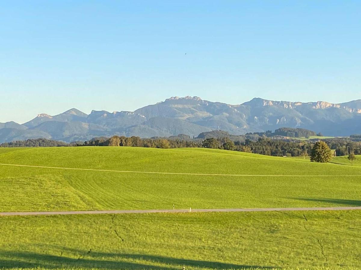 Asbichlerhof Appartement